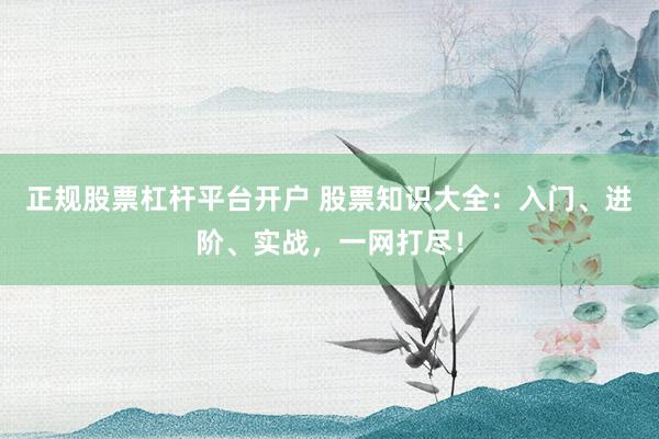 正规股票杠杆平台开户 股票知识大全：入门、进阶、实战，一网打尽！