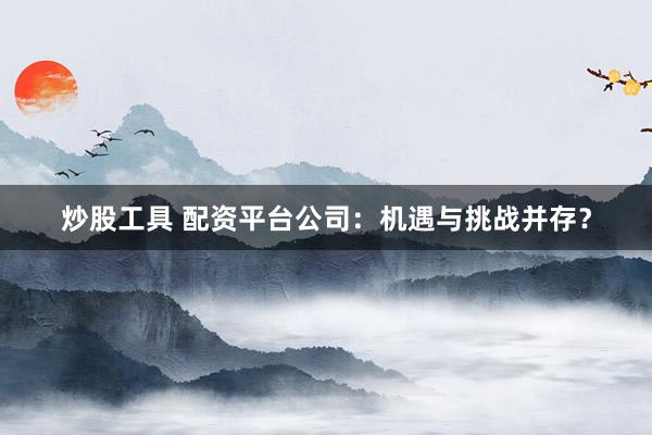 炒股工具 配资平台公司：机遇与挑战并存？