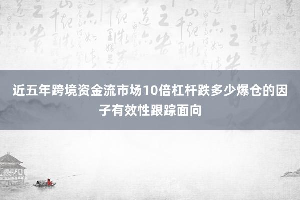 近五年跨境资金流市场10倍杠杆跌多少爆仓的因子有效性跟踪面向