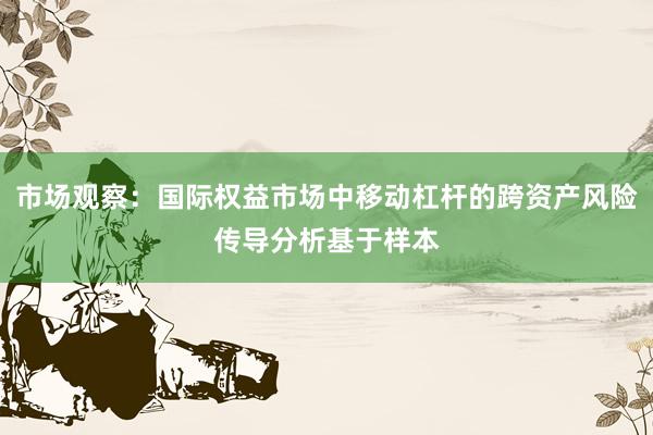 市场观察：国际权益市场中移动杠杆的跨资产风险传导分析基于样本