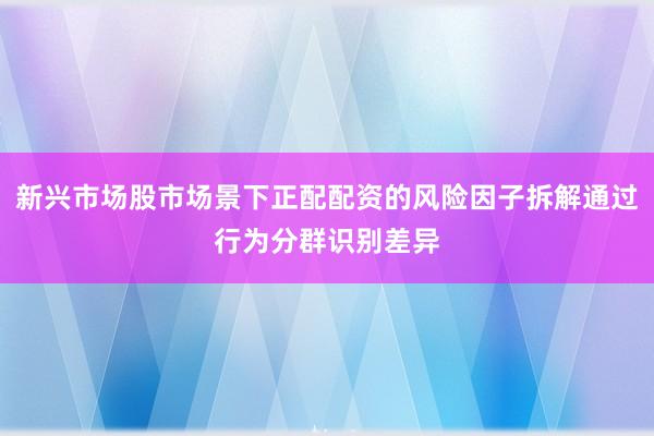 新兴市场股市场景下正配配资的风险因子拆解通过行为分群识别差异