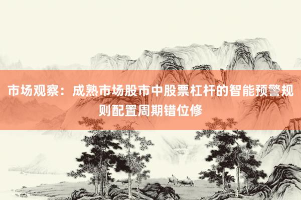 市场观察：成熟市场股市中股票杠杆的智能预警规则配置周期错位修