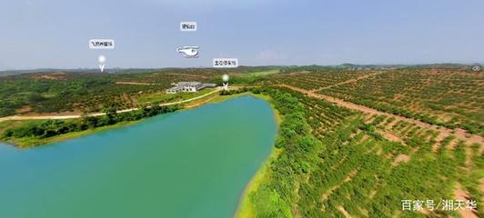 我国首条油茶林基地VR全景图上线